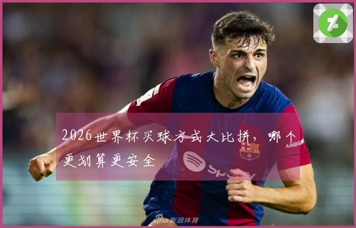 2026世界杯买球方式大比拼，哪个更划算更安全