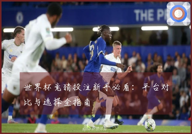 世界杯竞猜投注新手必看：平台对比与选择全指南