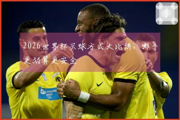 2026世界杯买球方式大比拼，哪个更划算更安全