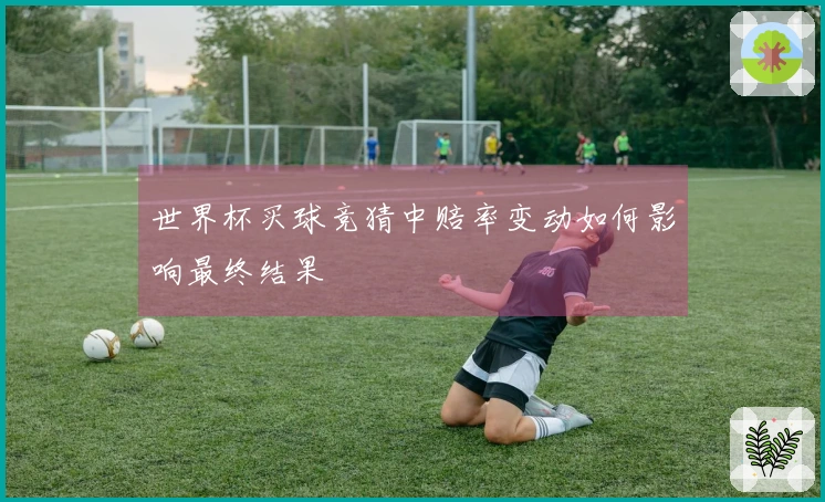 世界杯买球竞猜中赔率变动如何影响最终结果