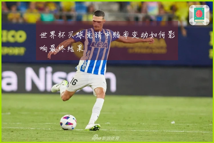 世界杯买球竞猜中赔率变动如何影响最终结果