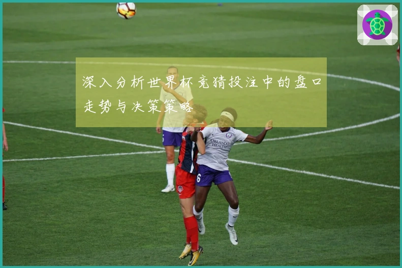 深入分析世界杯竞猜投注中的盘口走势与决策策略
