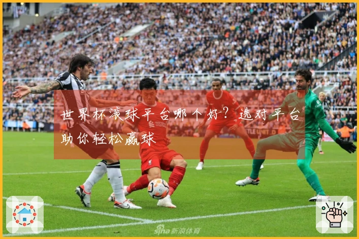 世界杯滚球平台哪个好？选对平台助你轻松赢球