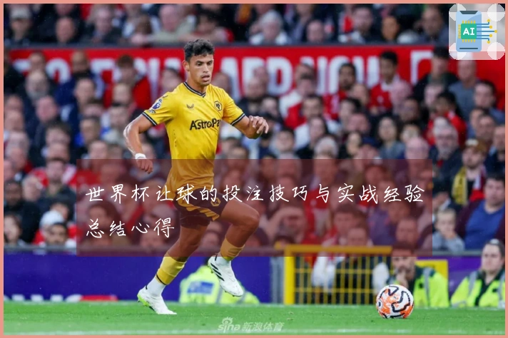 世界杯让球的投注技巧与实战经验总结心得